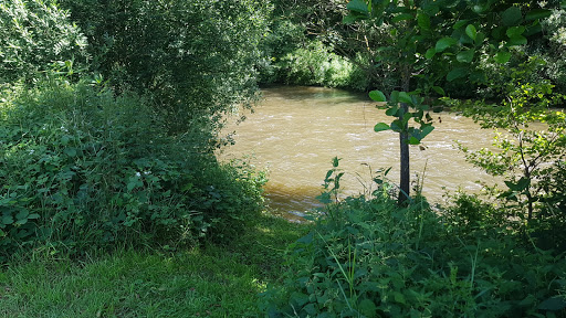 Wohnmobilplatz Fischbach - Thumbnail