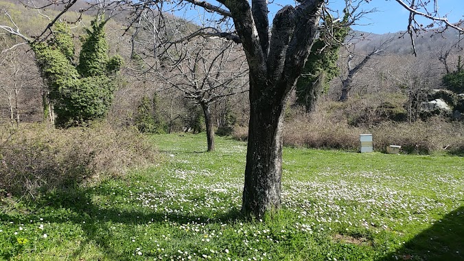 Kitsos Makris Folklore Museum, University of Thessaly, Author: Andrew Fragkiadakis