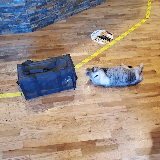 Tualatin Animal Clinic - Thumbnail