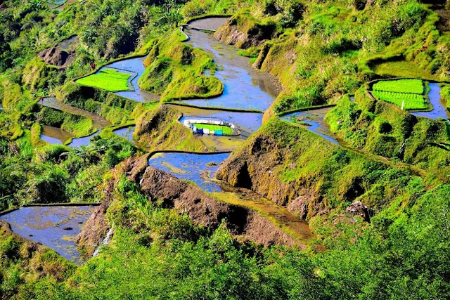 Banaue