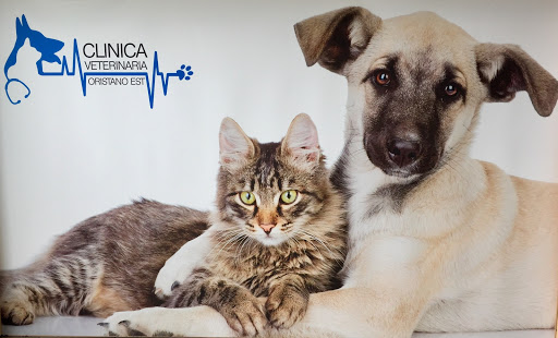 Clinica Veterinaria Oristano Est - Italy