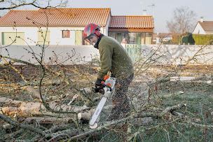 Photo n°15 de Elag Ouest Stéphane Capillon à Vivonne (Service d'élagage)