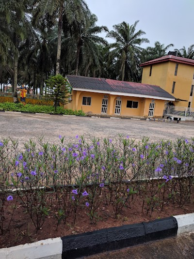 Photos of Precious Palm Royal Hotel
