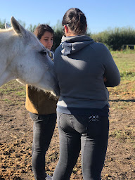 Photo n°6 de LE CLOS D'AIMES / EQUICOACHING à Saint-Didier-de-Formans (Coaching professionnel)