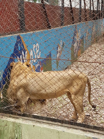 Photos of Zoological Garden