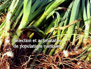 Photo n°6 de Pépinière des Carlines à Saint-Laurent-d'Olt (Pépinière)