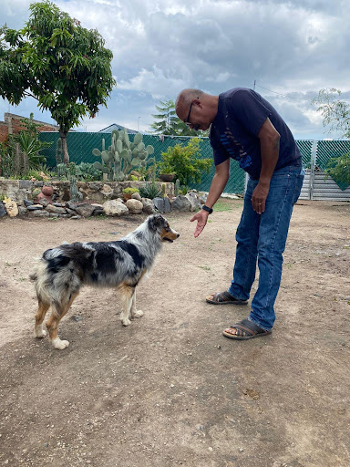 Veterinaria LGC