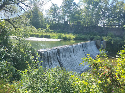 Mills Mills Falls Logo