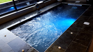 Photo n°7 de Les Horizons Bleus à Bordeaux (Service de réparation de piscines)