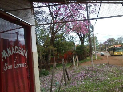 Photos of "San Lorenzo"