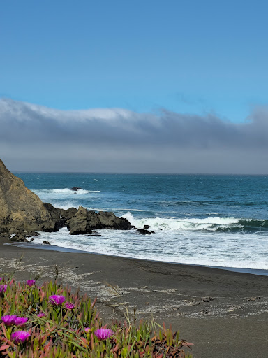 Mori Point