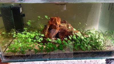 Photos of Aquazura