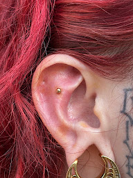 Photo n°23 de L'encrage Tattoo & Piercing à Dax (Salon de tatouage et piercing)