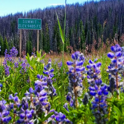 Photos of Wolf Creek Campground