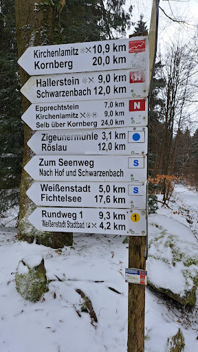 Waldsteinwichtel - Visual
