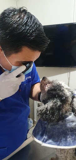 Dr. Animaux Hospital Veterinario