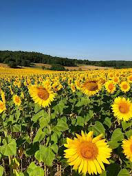 Photo n°36 de Belair le Camping à Champagnac-de-Belair (Terrain de camping)