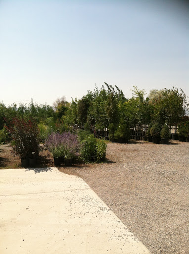 Skyview Landscape Nursery - Thumbnail