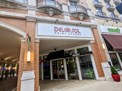 Del Sol Cariloha Logo