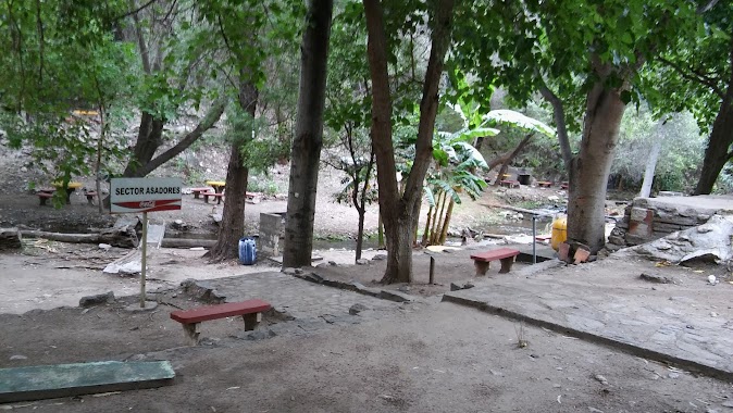 Camping Sirio Libanés, Author: Norma Noemi Escobar