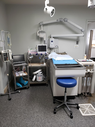 VCA West Shore Animal Hospital
