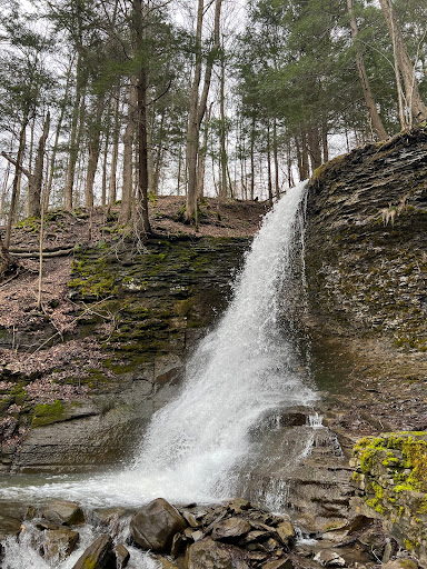 Bucktail Waterfall Park