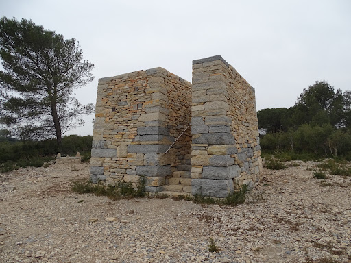 Observatoire de la Résilience - Thumbnail