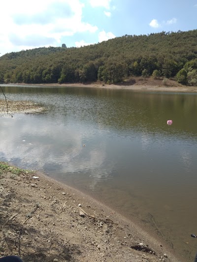 Büyükelmalı Pond