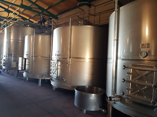 Bodega y Viñedos Agejas, S.L. - Thumbnail