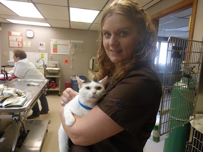 Photos of Green Valley Veterinary Hospital