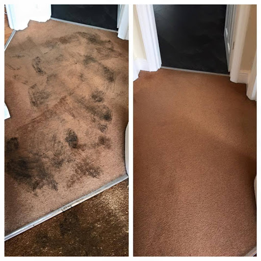 KDC Carpet & Upholstery Cleaning - Thumbnail