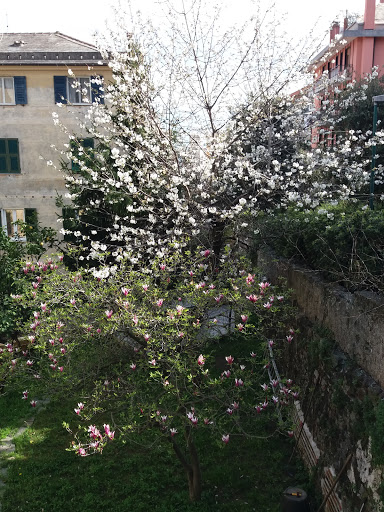 Parco di Villa Rosa Gallery - Italy