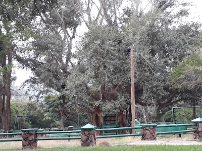 Photos of Mphephu Resort