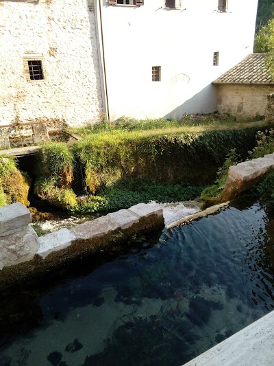 Photos of Granny's House