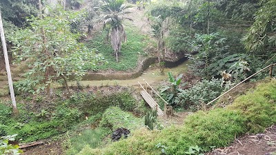 Photos of Jardin Botanico Julio Marrero