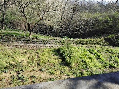 Photos of Koca&ccedil;eşme Parkı