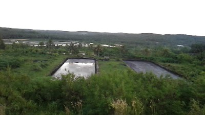 Photos of National Park Tesso Nilo