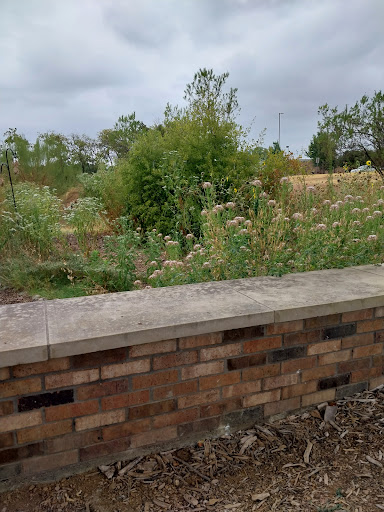 Windmill Garden - Thumbnail