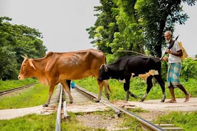 Photos of Rajarhat Railway Station