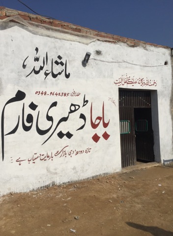 انصاف ڈیری فارم INSAF DAIRY FARM swabi