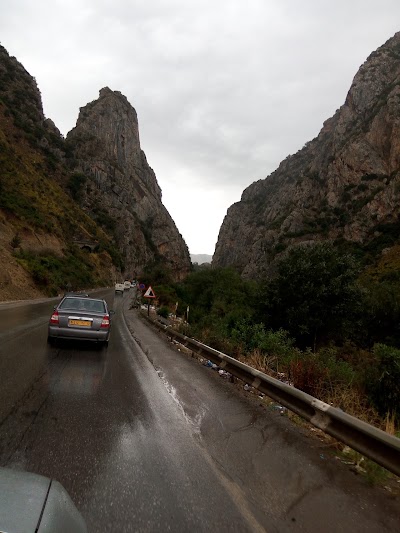 Photos of مطعم دبي- الموزينة