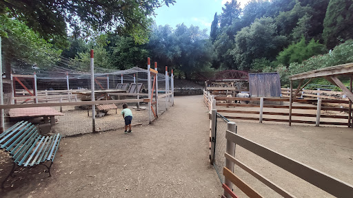 Fattoria didattica - Thumbnail