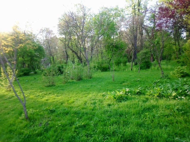 Place around image