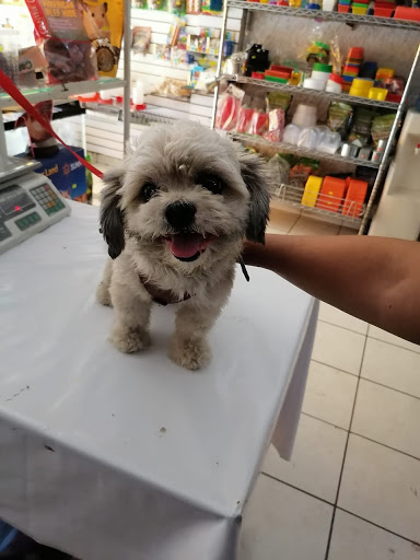 Mascotas Morelia