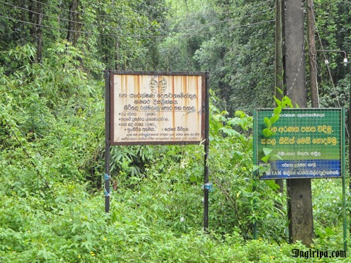 Hora Forest Reservation, Author: Wajira Dhanushka Rathugamage