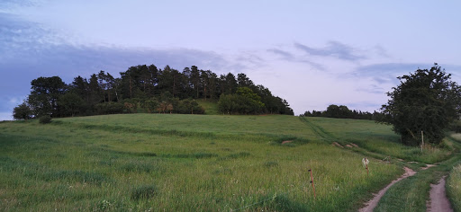 Roter Berg Saalfeld - Visual