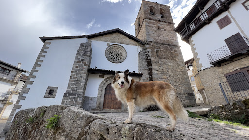Prado Palacios Gallery - Spain