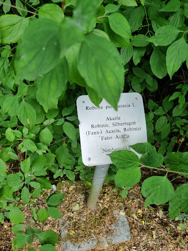Parc Reimerwee - Visual