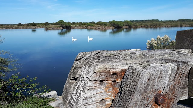 Le Domaine de Certes-Graveyron