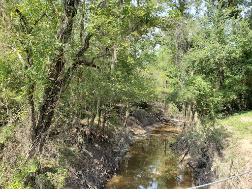 Brierwood Unit Parking Lot, Trinity River National Wildlife Refuge